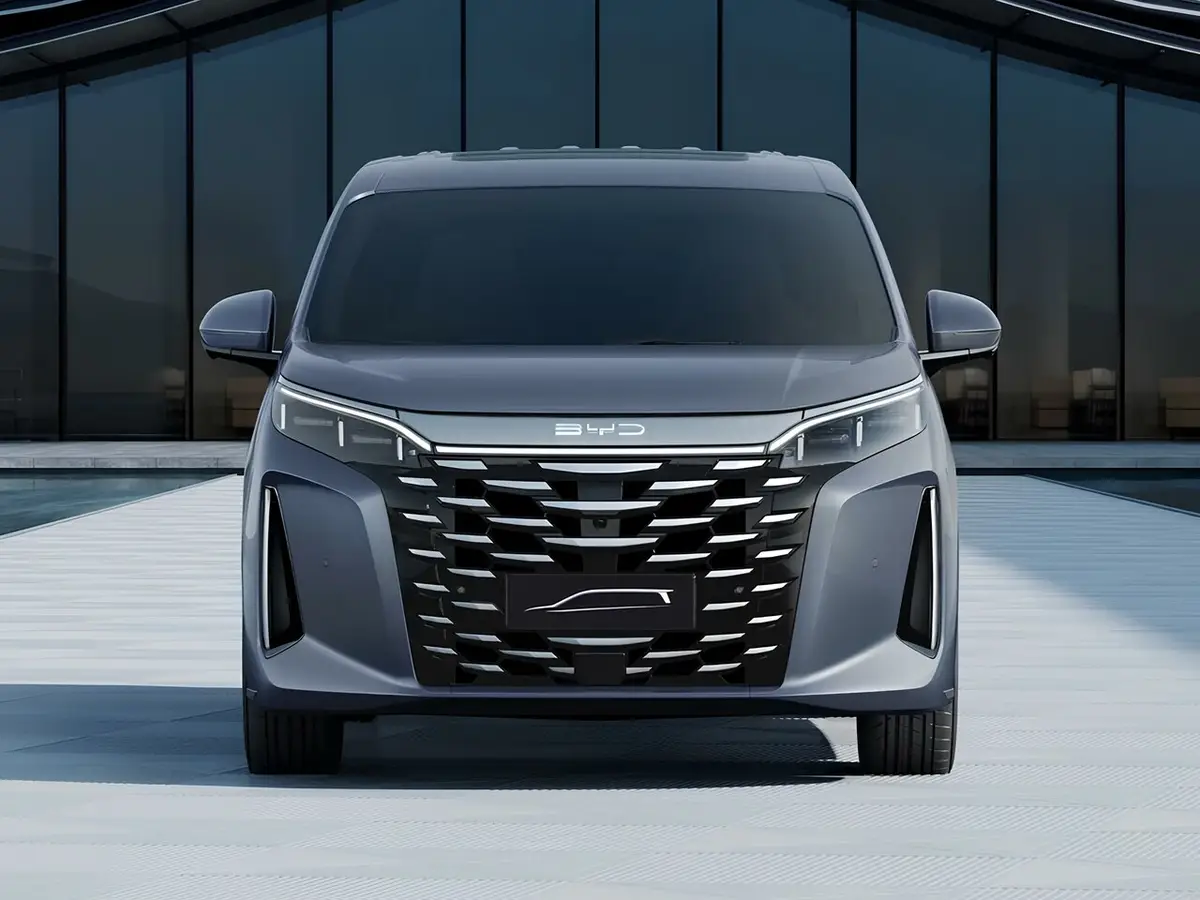 BYD Xia M9 I