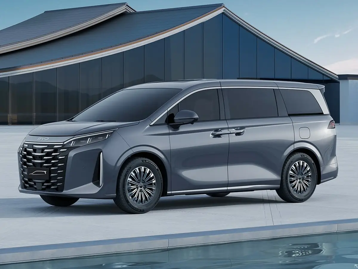 BYD Xia (M9)